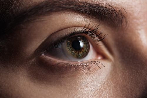 close up view of young woman green eye looking away