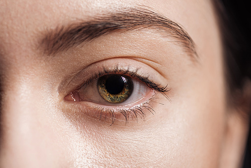 close up view of young woman green eye