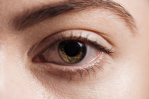 close up view of human brown eye