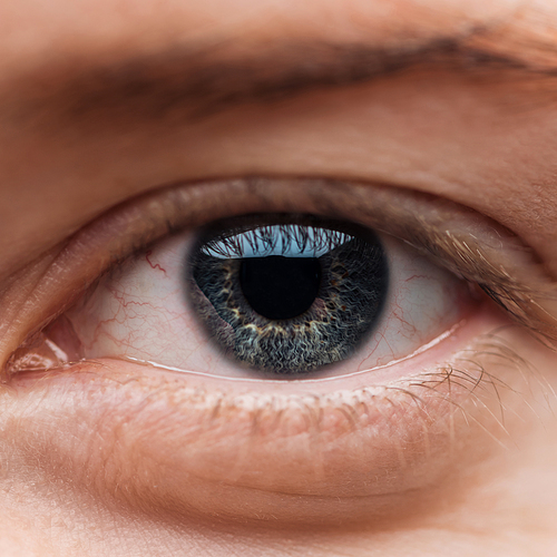 close up view of human blue colorful eye with eyelashes
