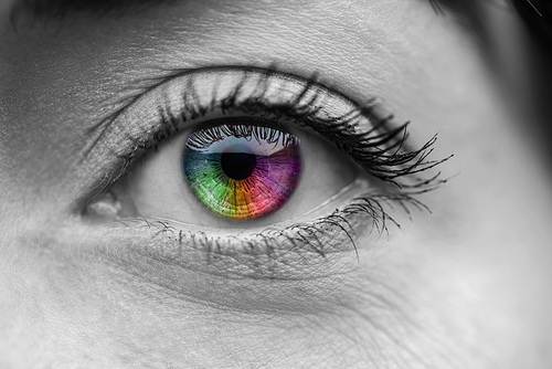 black and white shot of human colorful  eye