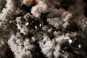 decorative transparent christmas balls on spruce branches in snow