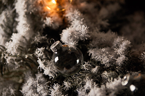 transparent christmas balls and yellow lights on spruce branches in snow