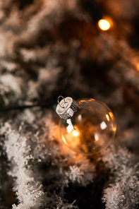 transparent christmas ball and yellow lights on spruce branches in snow
