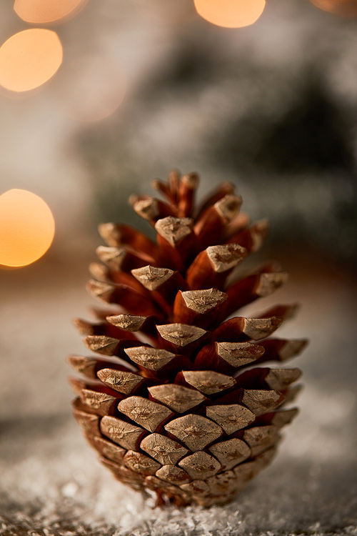 close up of pine cone on snow with christmas lights bokeh