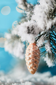 close up of spruce branches in snow with christmas ball pine cone on blue
