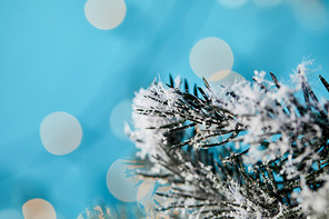 close up of spruce branches in snow with christmas lights bokeh on blue