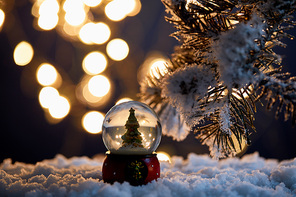little christmas tree in snowball standing in snow with spruce branches and blurred lights at night