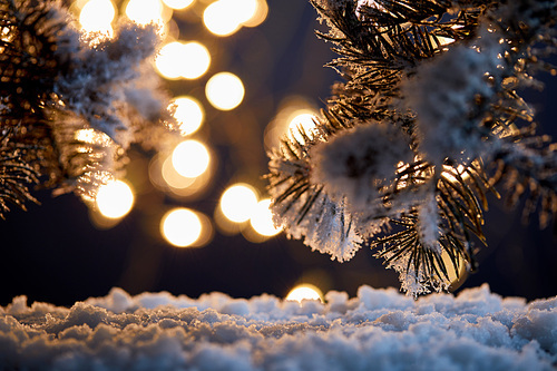 close up of spruce branches in snow with christmas lights bokeh at night