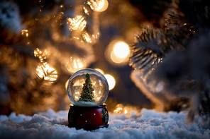 christmas tree in snowball standing in snow with spruce branches and lights bokeh at night