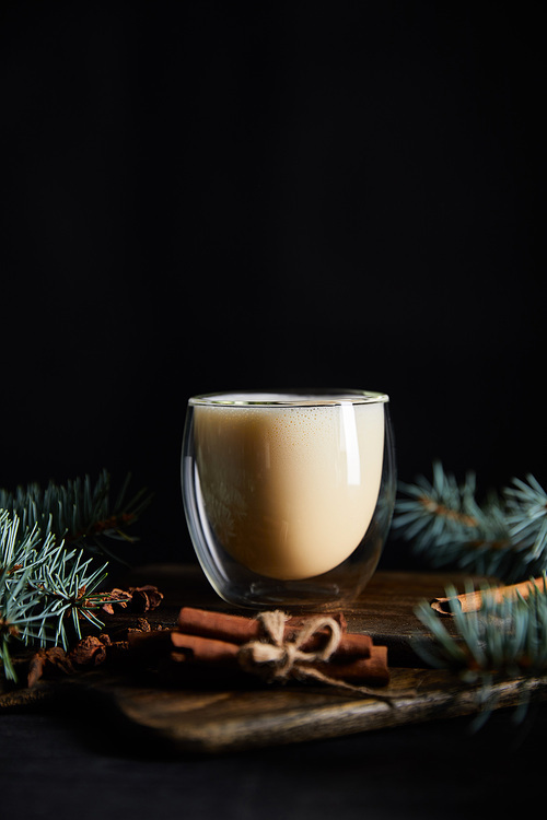 tasty eggnog cocktail near spruce branches and bunch of cinnamon sticks isolated on black