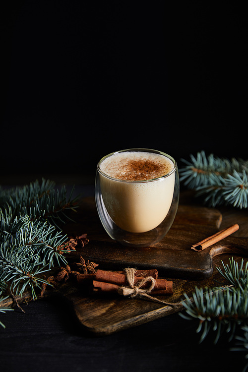 flavored eggnog cocktail on chopping board, cinnamon sticks and spruce branches isolated on black