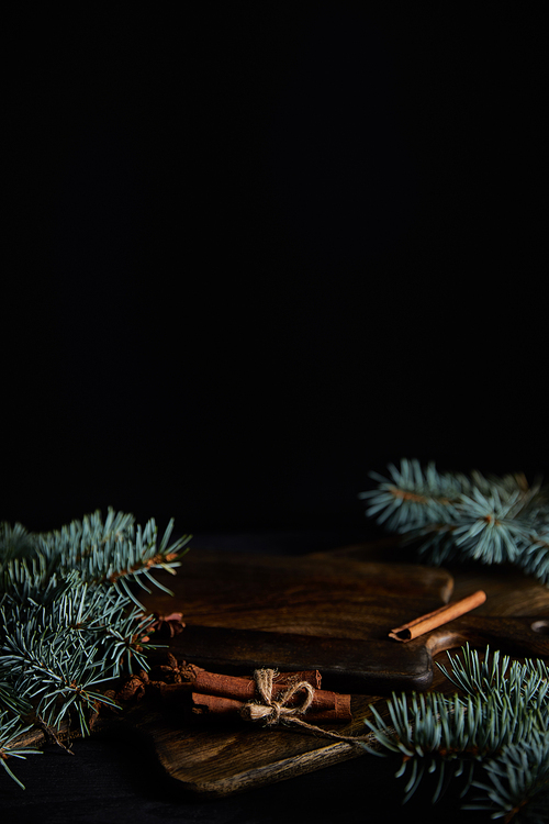 spruce branches, cutting boards and cinnamon sticks isolated on black with copy space