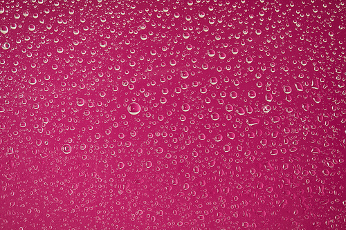 clear transparent water drops on crimson background