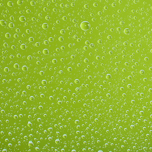 clear transparent water drops on green background