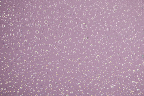 clear transparent water drops on violet background
