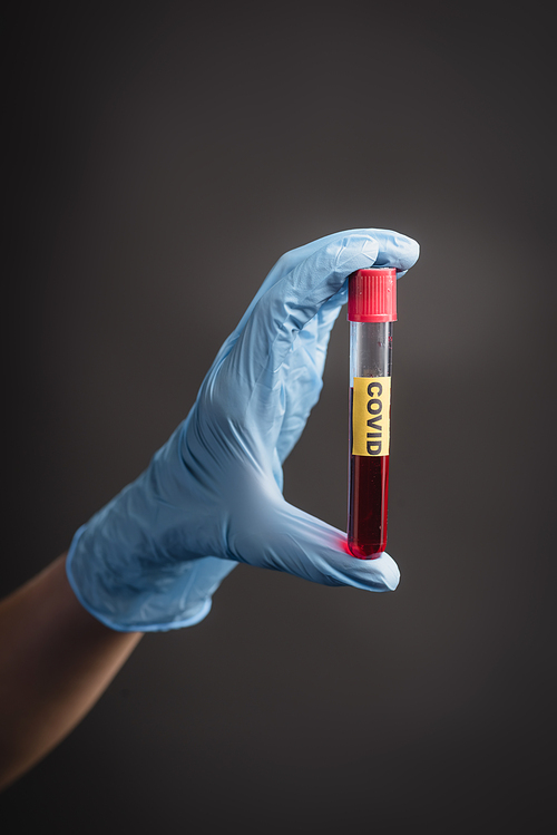 cropped view of nurse in latex glove holding test tube with covid lettering isolated on dark grey