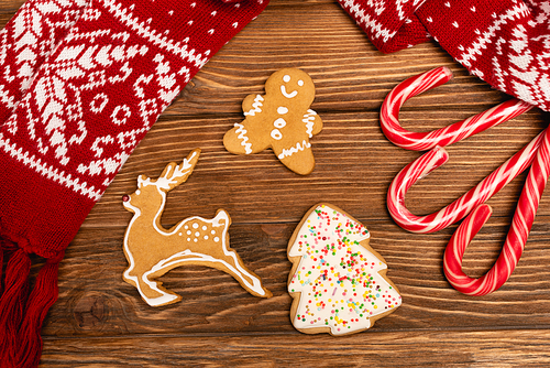 top view of winter gingerbread cookies and scarf on wooden background