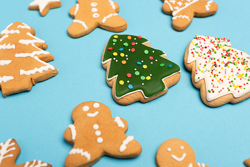 winter gingerbread cookies on blue background
