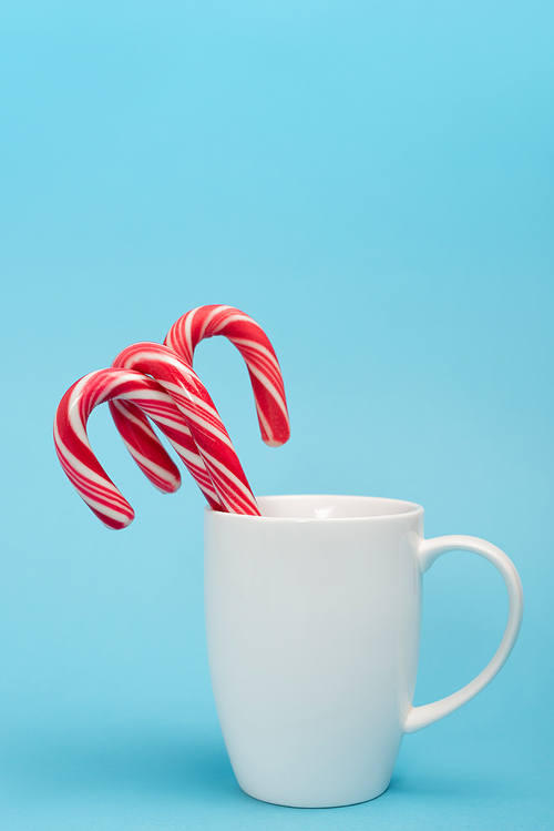 candy canes in white mug on blue background