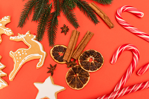 top view of Christmas tree, candy canes, spices and gingerbread cookies on red background