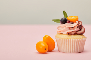 cupcake with ripe kumquats on pink surface isolated on grey
