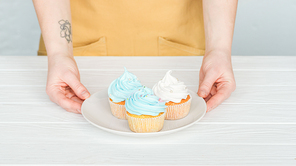 cropped view of woman holding plate with delicious cupcakes on grey