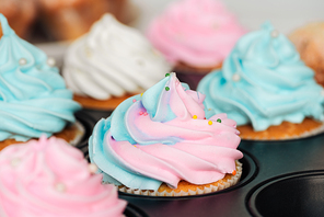 selective focus of delicious blue and pink cupcakes decorated with sprinkles in cupcake tray