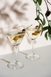 Glasses of martini and olive branch on white background