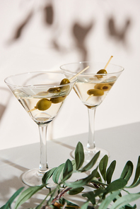 Martini with olives and olive branch on white background