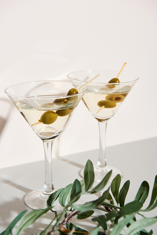 Glasses with martini and olive branch on grey surface on white background