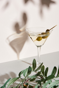 Martini cocktail with shadow and olive branch on grey surface