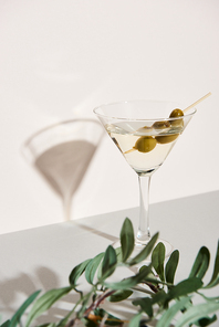 Martini with shadow on white background and olive branch on grey surface