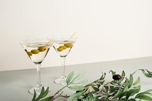 Cocktails in martini glasses with olive branch on grey surface, isolated on white