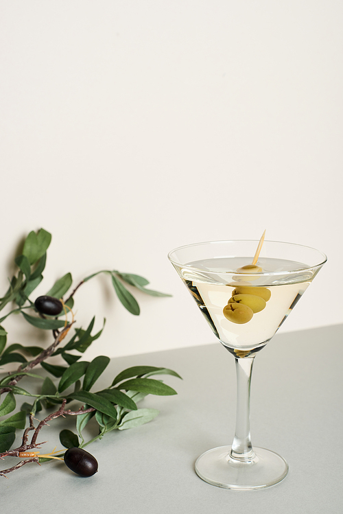 Martini cocktail with olive branch on white background