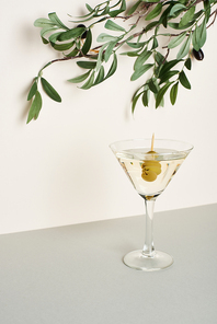 Glass of martini with olive branch on white background