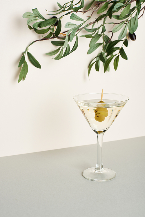 Glass of martini with olive branch on white background