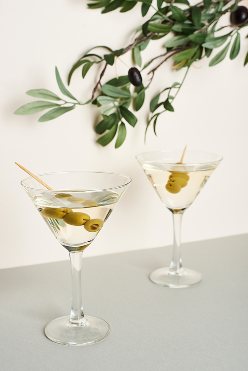 Martini cocktails with olive branch isolated on white