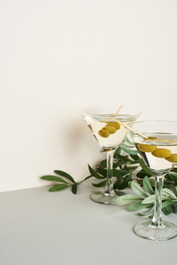 Classic martini cocktails with olive branch on grey surface