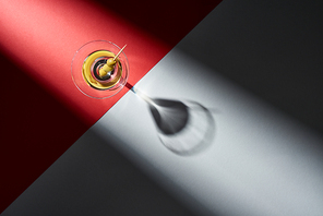 Top view of martini with olives on red and grey background