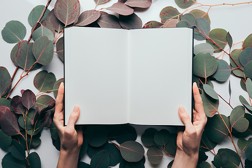 cropped view of woman holding empty diary on white with eucalyptus leaves