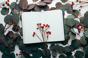 top view of eucalyptus leaves and red berries with empty notebook on white