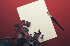 top view of eucalyptus branches with empty page and fountain pen on red