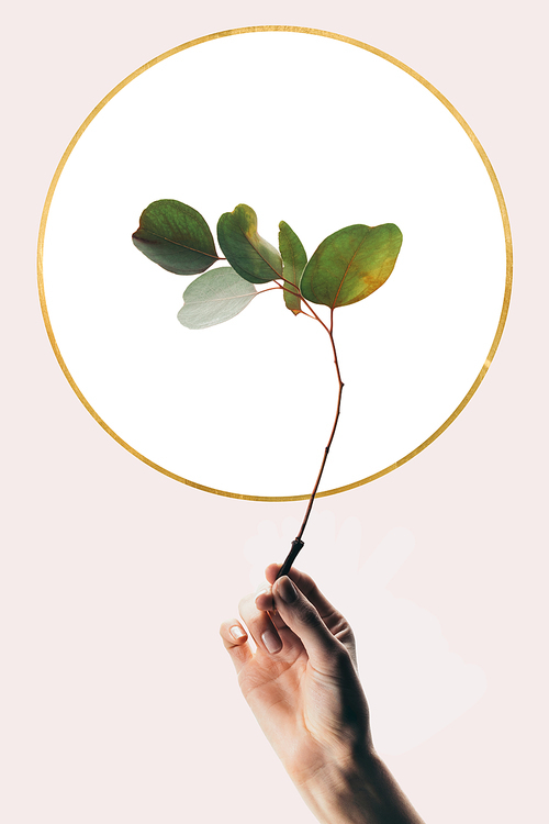 cropped view of woman holding eucalyptus branch isolated on beige with white circle