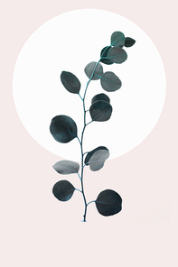 Floral geometric design with eucalyptus branch isolated on beige