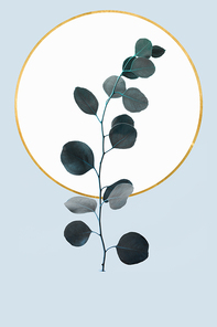 Floral geometric design with eucalyptus branch and golden circle isolated on light blue