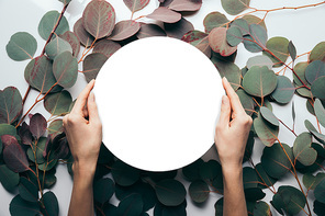 partial view of woman holding empty round frame on white with eucalyptus leaves