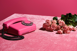 bouquet of roses near vintage phone on velour pink cloth isolated on pink, girlish concept