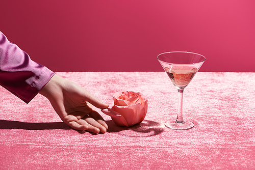 female hand near rose and glass of rose wine on velour cloth isolated on pink, girlish concept