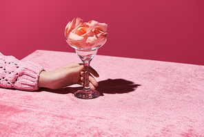 cropped view of woman holding glass with rose petals on velour cloth isolated on pink, girlish concept